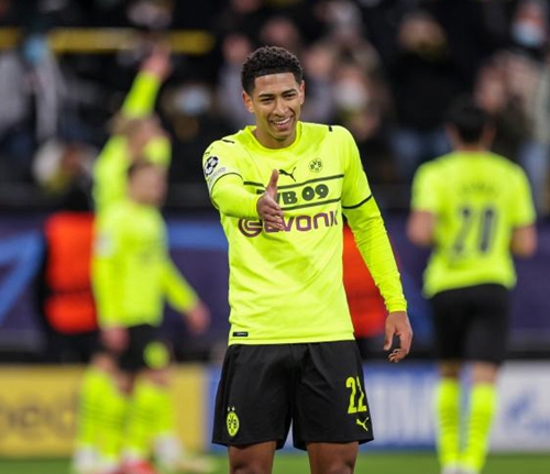 一不小心导 一不小心导