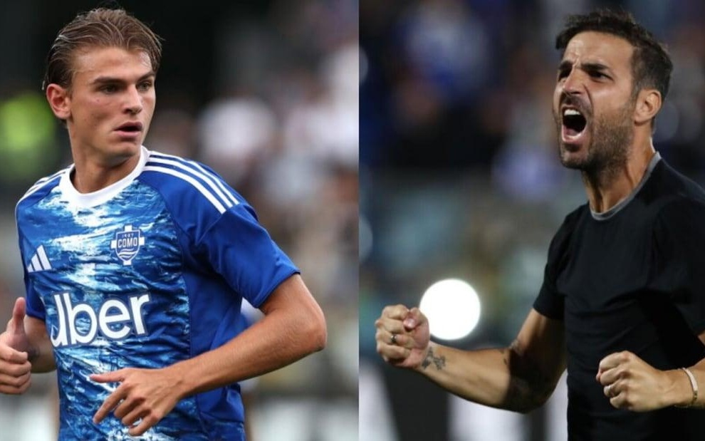 引了全球高 引了全球高